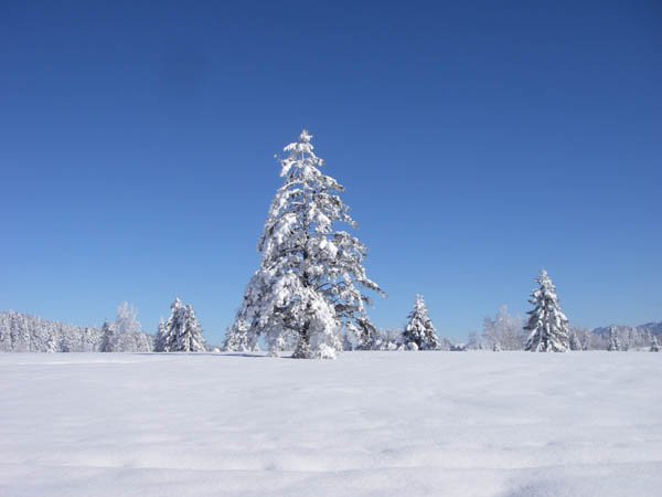 IMGP0760_1