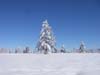 IMGP0760_1